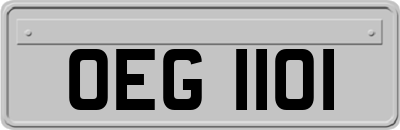 OEG1101