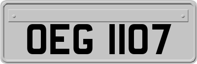 OEG1107