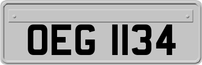 OEG1134