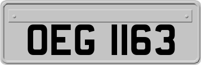 OEG1163