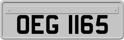 OEG1165