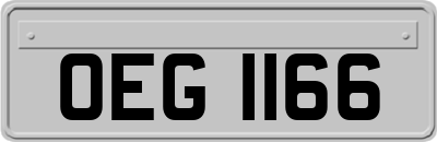 OEG1166