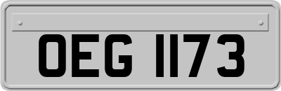 OEG1173