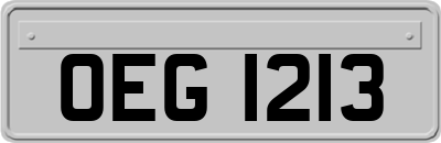 OEG1213
