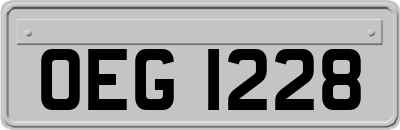 OEG1228