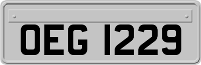 OEG1229