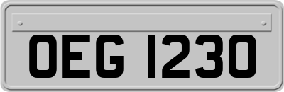 OEG1230