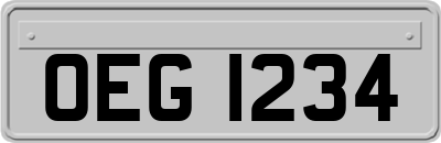 OEG1234