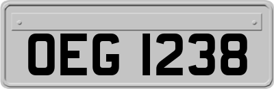 OEG1238