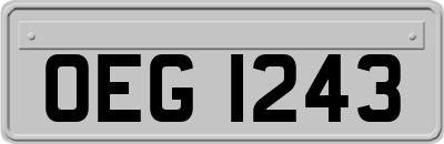 OEG1243