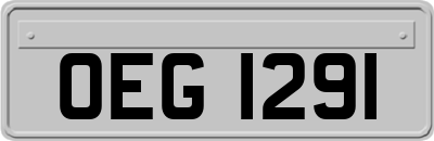 OEG1291