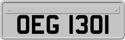 OEG1301