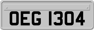 OEG1304