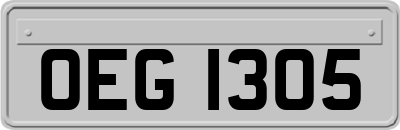 OEG1305