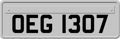 OEG1307
