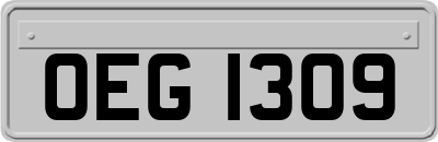 OEG1309