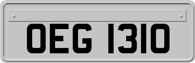 OEG1310