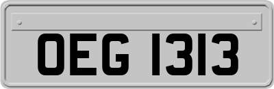 OEG1313