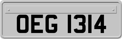 OEG1314