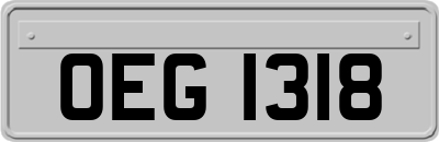 OEG1318