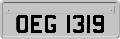 OEG1319