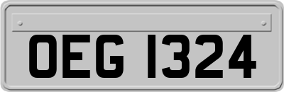OEG1324