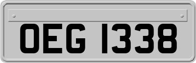 OEG1338
