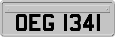 OEG1341