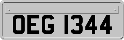 OEG1344