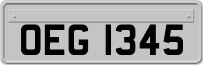 OEG1345