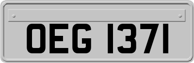 OEG1371