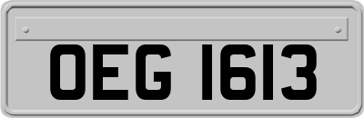 OEG1613