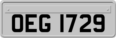 OEG1729