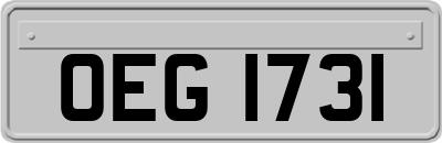 OEG1731