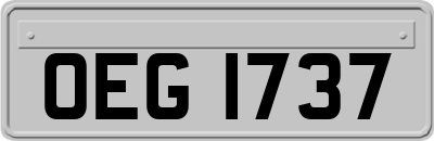 OEG1737