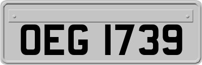 OEG1739