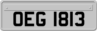 OEG1813