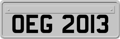 OEG2013