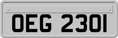 OEG2301