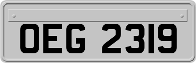 OEG2319