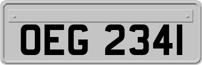 OEG2341