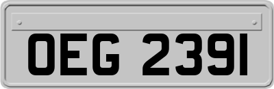 OEG2391
