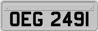 OEG2491