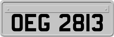 OEG2813