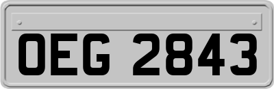 OEG2843