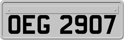 OEG2907