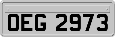 OEG2973