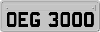 OEG3000
