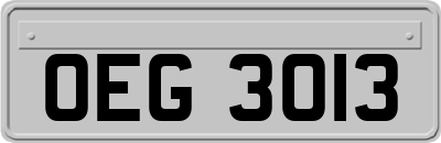 OEG3013