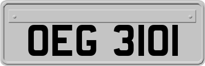 OEG3101